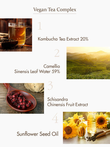 كريم جل شاي الكومبوتشا النباتي من دكتور سيوراكل، 75 غرام