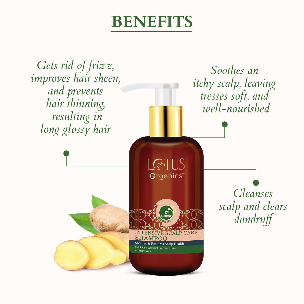 Lotus Organics Intensive Scalp Care Shampoo - 210ml - Image 3