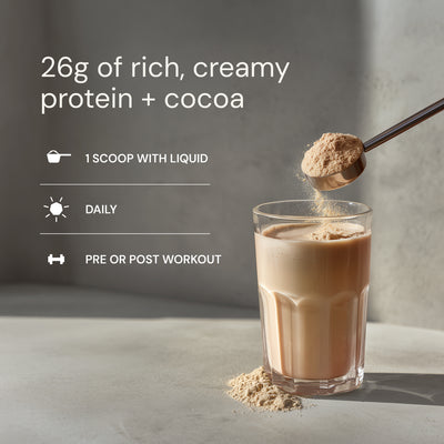 Blueprint Longevity Protein - Chocolate | 26g Plant-Based Protein - 30-Day Supply
