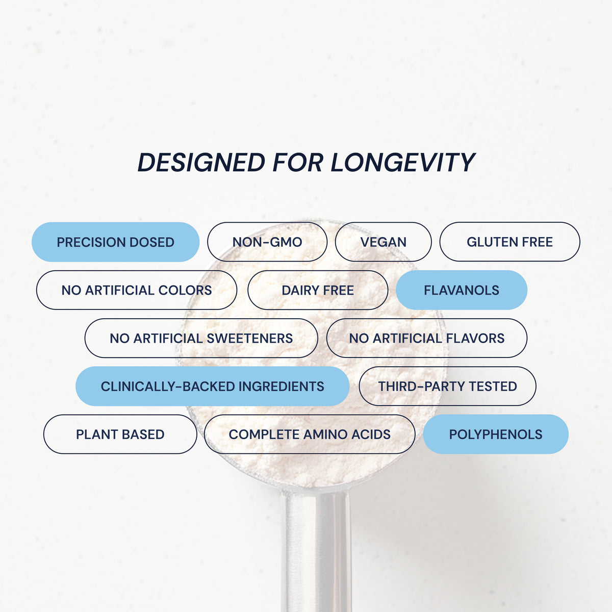 Blueprint Longevity Protein - Chocolate | 26g Plant-Based Protein - 30-Day Supply