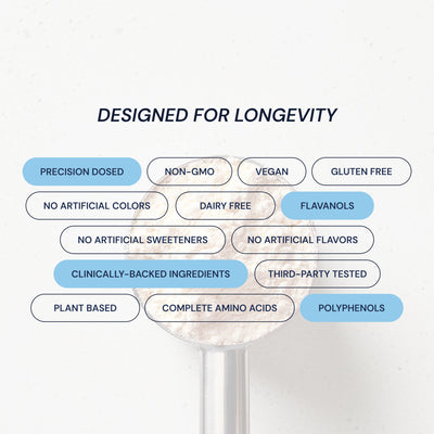 Blueprint Longevity Protein - Chocolate | 26g Plant-Based Protein - 30-Day Supply