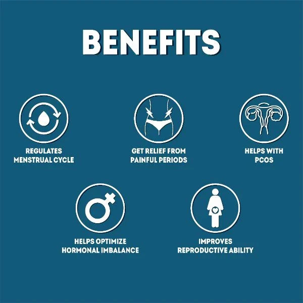Aadar Good Period Capsule - Herbal & Ayurvedic Menstrual Support - 60 Capsules - Image 4