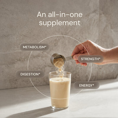 Blueprint Metabolic Protein Powder - Chai - Plant-Based, 30g Protein, 8g Fiber