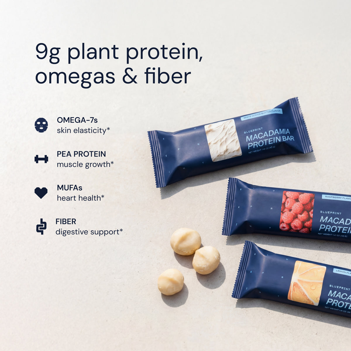 Blueprint Macadamia Protein Bar - Variety Pack - 9g Protein, No Added Sugar, 12 Bars