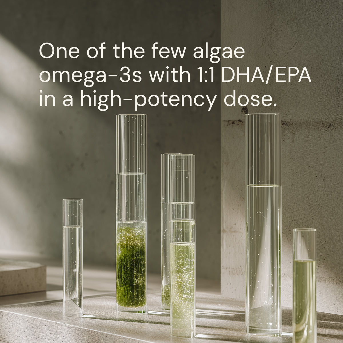 Blueprint Omega-3 Algae Capsules - High Potency EPA/DHA - 800mg, 60 Capsules