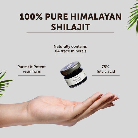 Neuherbs Pure Himalayan Shilajit 15g