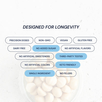 Blueprint Raw Macadamias - 100% Pure, Nutrient-Dense Snack - 4 Servings