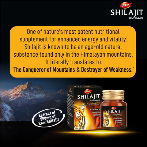 Ayuvigo and Dabur Shilajit Combo Supplement