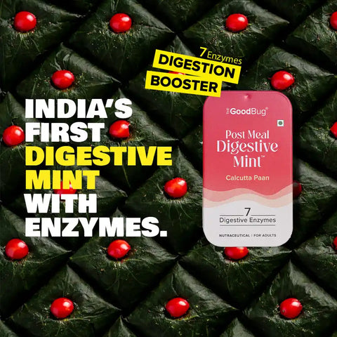 The Good Bug Post Meal Digestive Mint : Paan 14 tablet