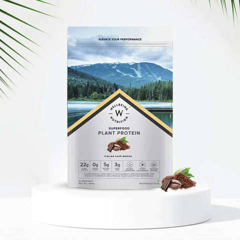 Wellbeing Nutrition Superfood Plant Protein Dark Chocolate Hazelnut and Italian Cafe Mocha (Buy 1 Get 1)