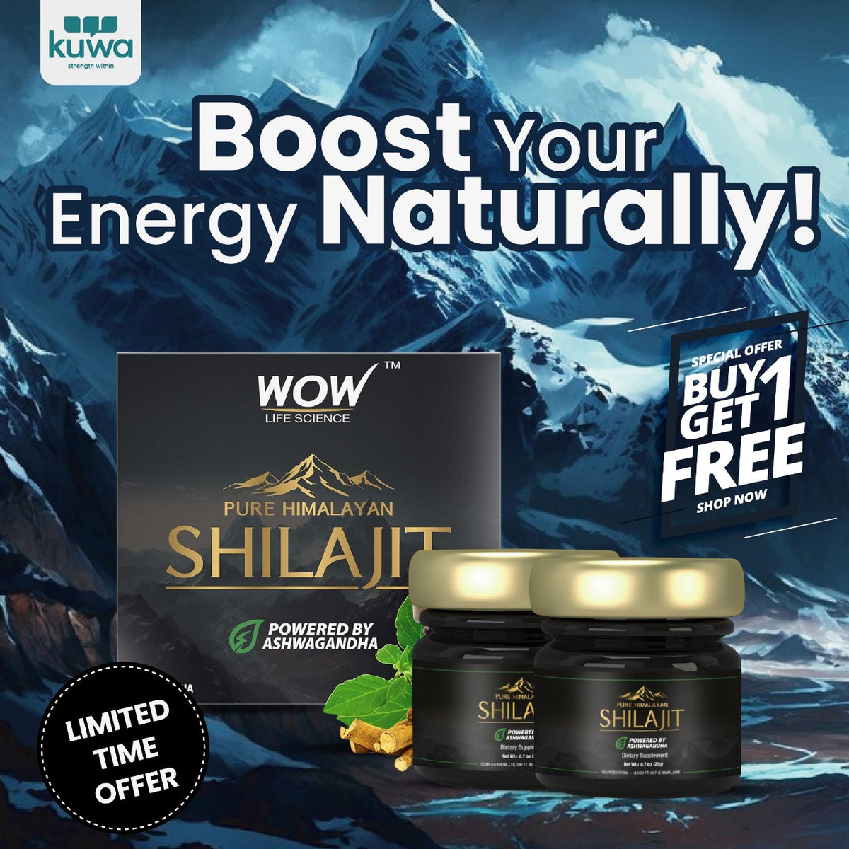 Wow Life Science Pure Himalayan Shilajit Resin | Powered By Ashwagandha 20 G Buy 1 Get 1