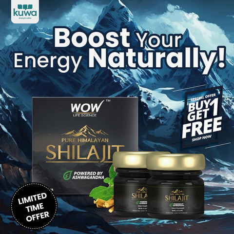 Wow Life Science Pure Himalayan Shilajit Resin | Powered By Ashwagandha 20 G Buy 1 Get 1