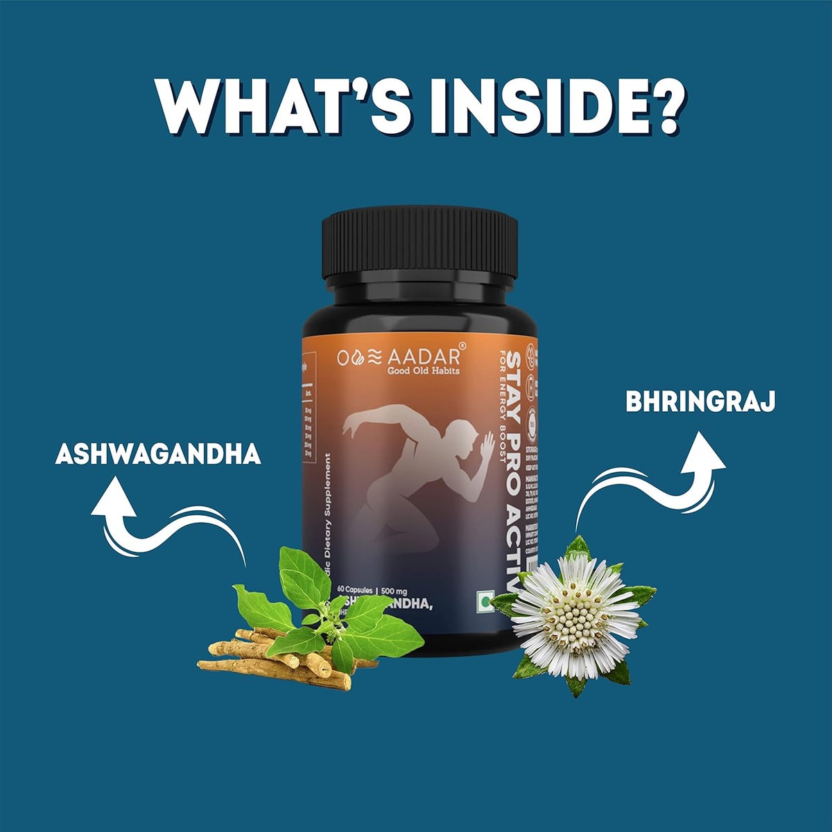 Aadar Stay Pro Active Energy Booster Capsules - Herbal & Ayurvedic - 60 Capsules - Image 3