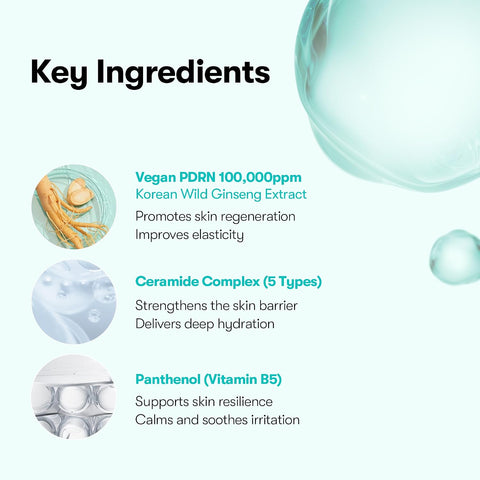 VT COSMETICS PDRN 100 Essence, Korean Gingseng Plant-derived PDRN Serum for Natural Glow, Korean skincare 1.01 fl. Oz. - Image 3