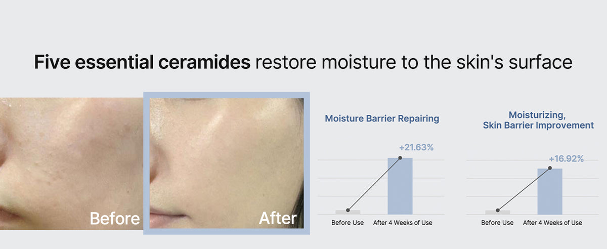 Celimax Dual Barrier Skin Wearable Cream - Long Lasting Moisturizer with Ceramides and Hyaluronic Acid, 50ml - 4