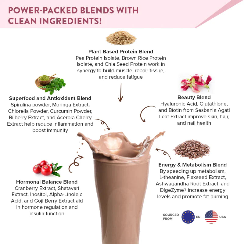 Well Being Nutrition Superfood Plant Protein Chocolate Peanut Butter and  Daily Fiber Vanilla Berry Flavor