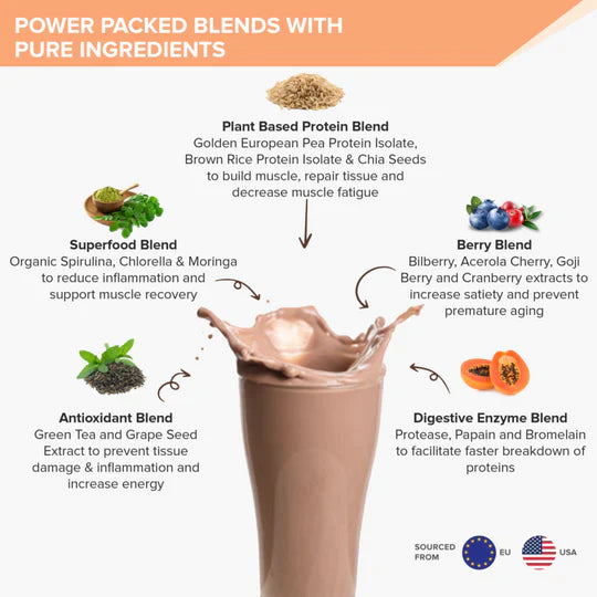 Well Being Nutrition Superfood Plant Protein Dark Chocolate Hazelnut and Daily Fiber Vanilla Berry Flavor