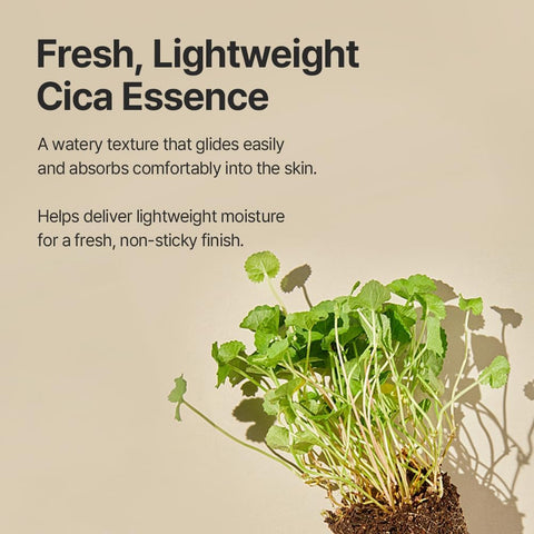 mixsoon Soondy Centella Asiatica Essence - Balancing and Hydrating for Face, Jeju Island Cica Extracts, Gentle Formula for Balanced, Healthy Skin 100ml Korean Glass Skin Care - Image 3