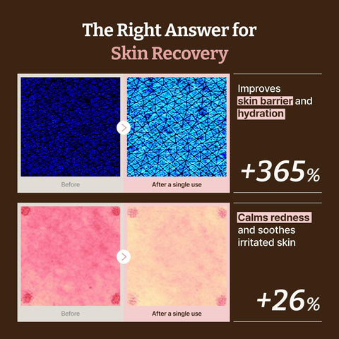 Dr.Reju-All Advanced PDRN Rejuvenating Cream – 99% Pure Salmon DNA Gel Type Face Moisturizer – Optimal 1200ppm for Glass Skin & Plumping – Korean Pharmacy Anti-Aging Skin Care Face Cream - 20ml - Image 4
