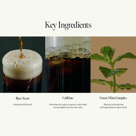 Dark Beer Biome Shampoo - Vegan Thicker Hair & Sclap Care with Caffeine & Green Mint Complex for Volumizing Hair- Deep Cleansing, Oil Control & Cooling Effect, Sulfate-Free 500 ml / 16.9 fl oz - Image 3