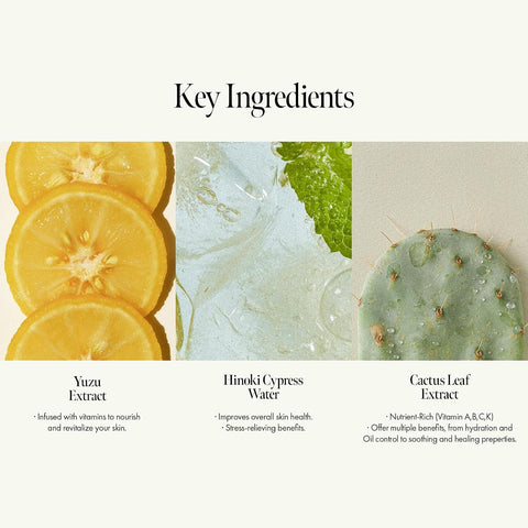 Amber528 Body Lotion – Hydrating Yuzu & Cedarwood, Fast-Absorbing & Non-Greasy, Moisturizer with Ceramide & Hyaluronic Acid for Dry Skin, Daily Use 450ml / 15.22 fl oz - Image 3