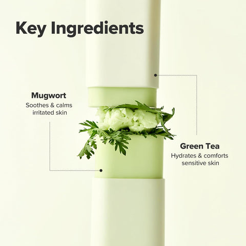 Beauty of Joseon Matte Sun Stick Mugwort Camelia for face Korean Sunscreen moisturizing with SPF 50 PA++++ Sebum Control No white Cast skincare for Women and Men 18g - Image 6