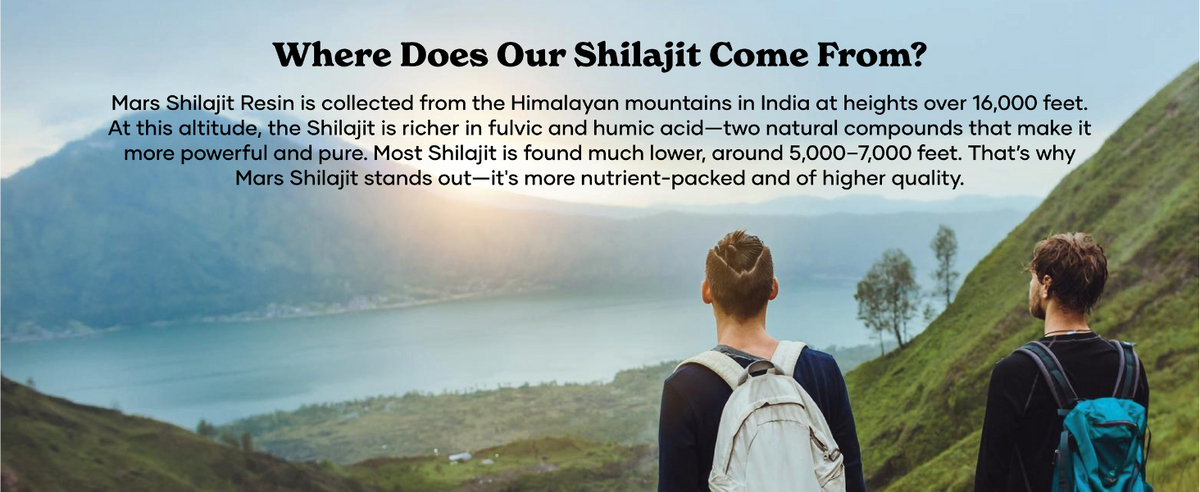GHC Pure Himalayan Shilajit Resin - Herbal & Ayurvedic, 15g - 3
