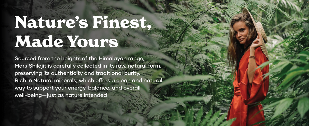 GHC Pure Himalayan Shilajit Resin - Herbal & Ayurvedic, 15g - 4