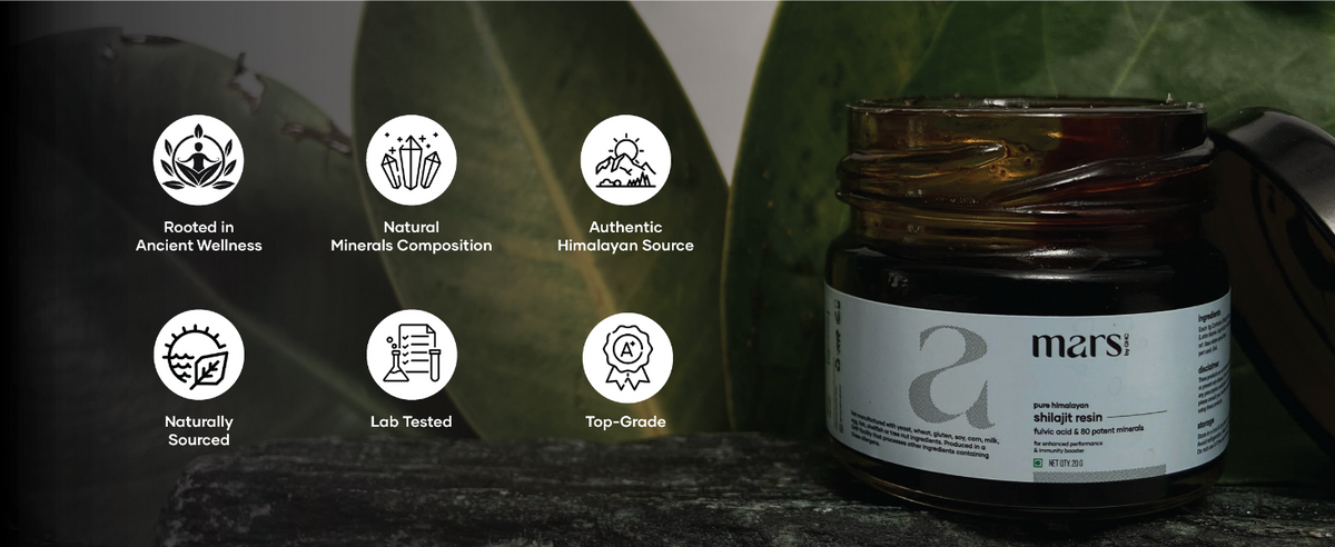 GHC Pure Himalayan Shilajit Resin - Herbal & Ayurvedic, 15g - 5