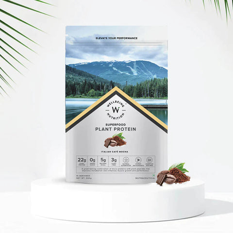Well Being Nutrition Superfood Plant Protein Italian Cafe Mocha and Daily Fiber Vanilla Berry Flavor
