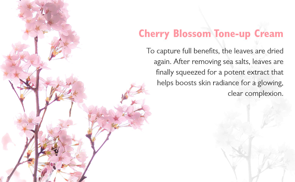 Innisfree Cherry Blossom Tone Up Cream - Face Moisturiser, 50ml - 2