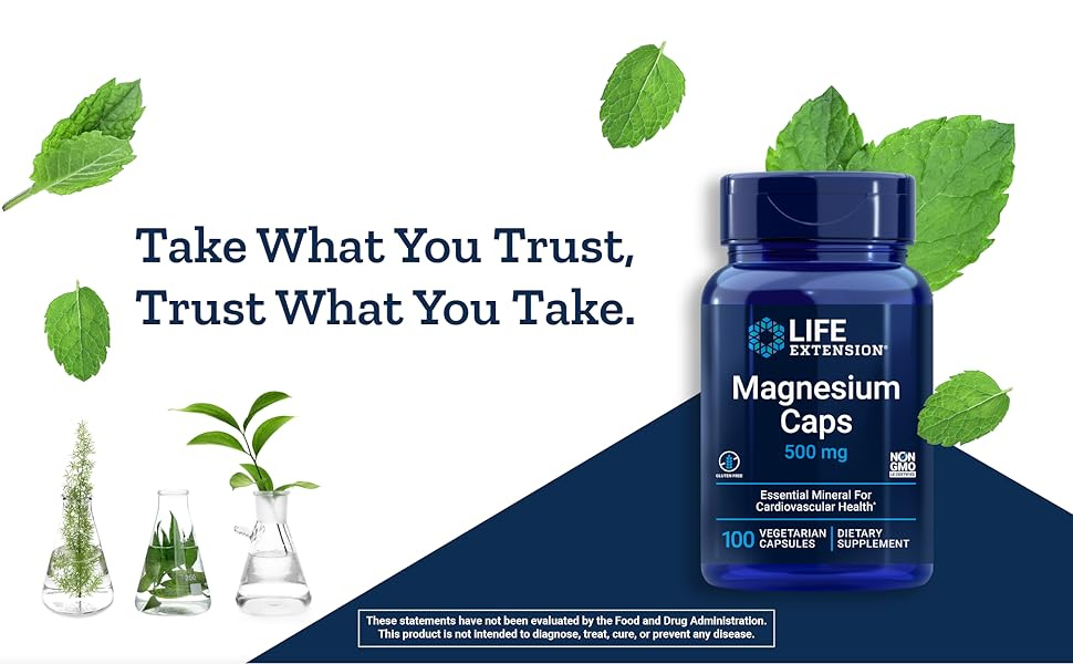 Life Extension Magnesium Caps - 500 mg, 100 Vegetarian Capsules - 1