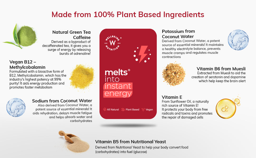 شرائح ويلبينج نوتريشن ميلتس (Wellbeing Nutrition Melts) للطاقة الفورية - كافيين وإلكتروليتات نباتية، عبوة تحتوي على 30 شريحة - 2
