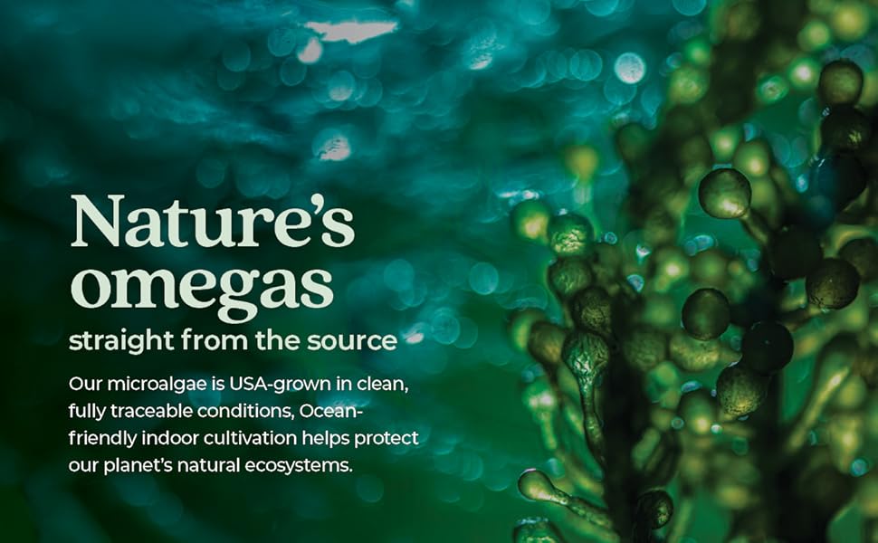 New Chapter Vegan Omega 3 Complex - 30 Softgels - 2