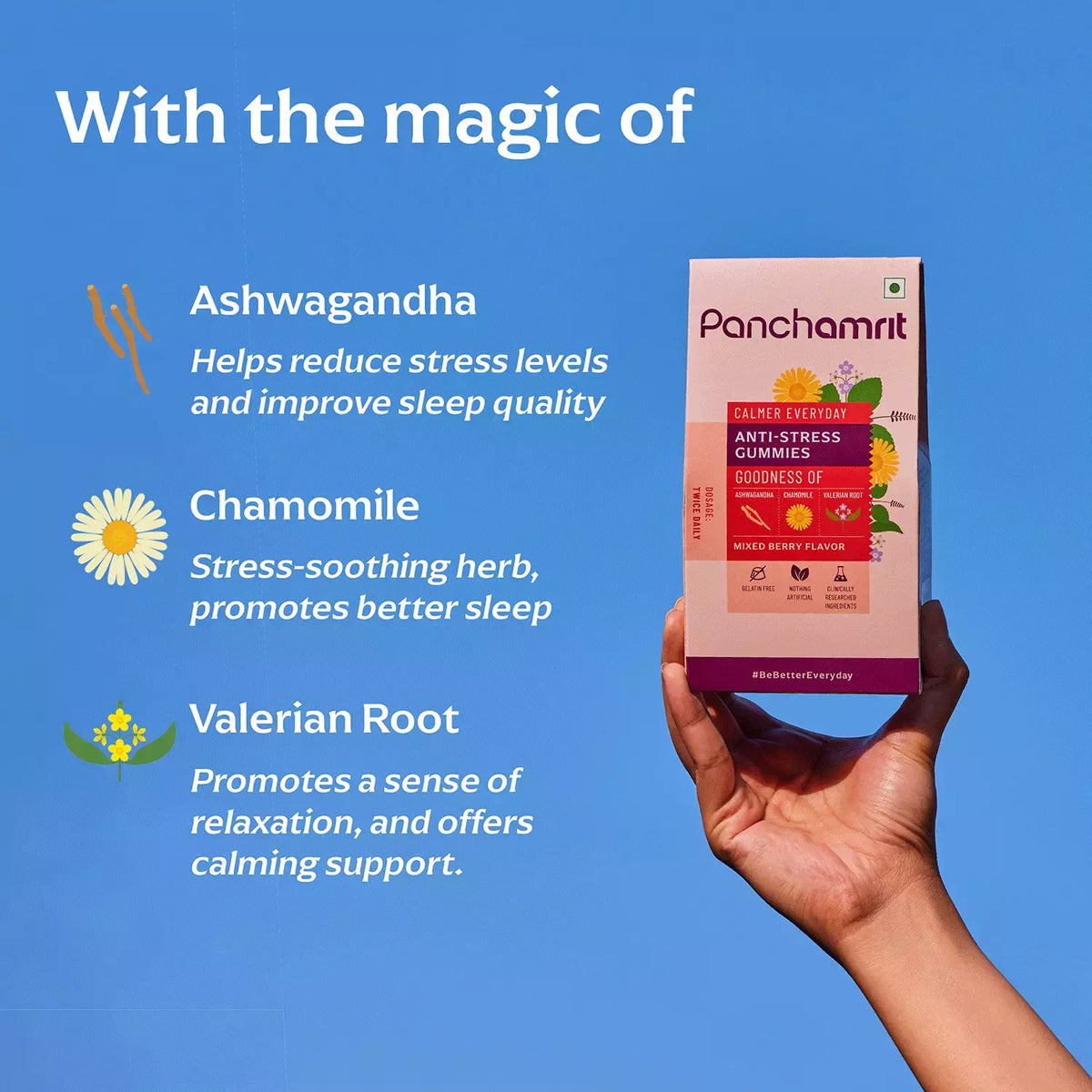 Panchamrit Calmer Everyday Anti-Stress Herbal Gummies, 30 Pack - Image 3