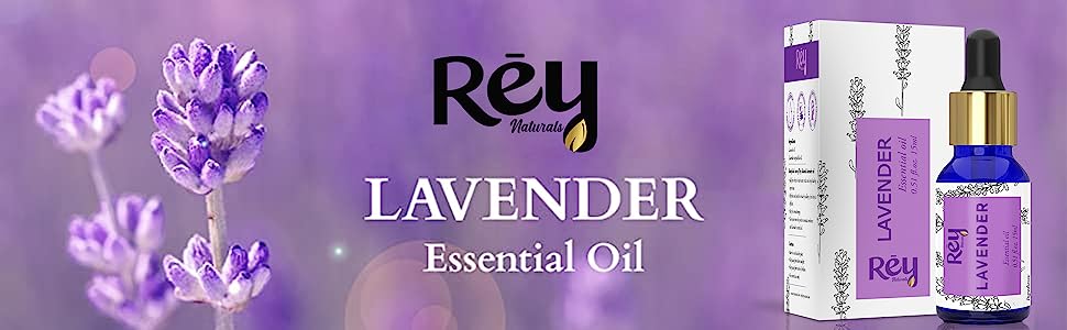 ReyNaturals Lavender Essential Oil - Pure Lavandula Angustifolia Extract, 15 ml - 1