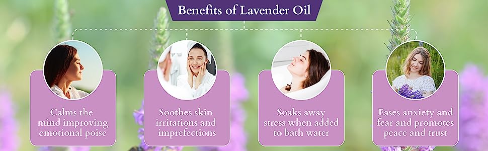 ReyNaturals Lavender Essential Oil - Pure Lavandula Angustifolia Extract, 15 ml - 2