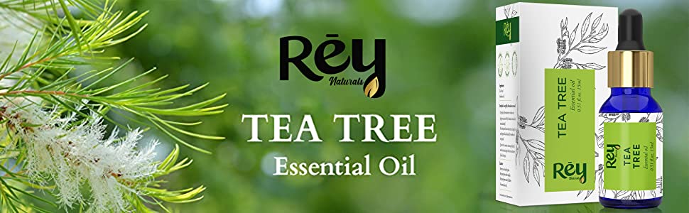 ReyNaturals Tea Tree Essential Oil for Hair, Skin and Face - 15ml - 1