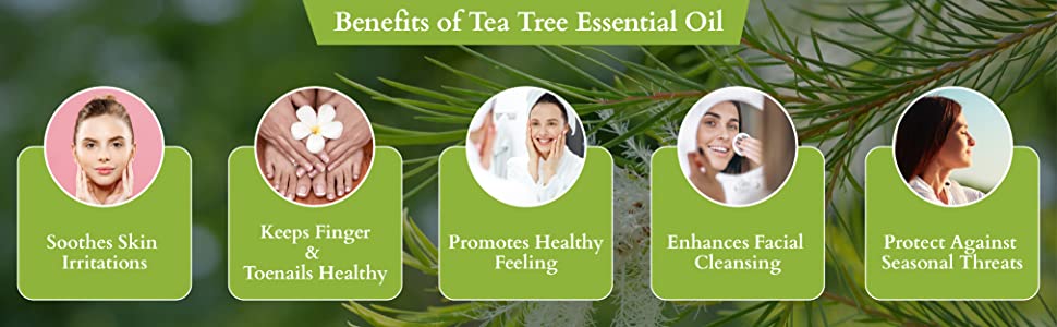 ReyNaturals Tea Tree Essential Oil for Hair, Skin and Face - 15ml - 2