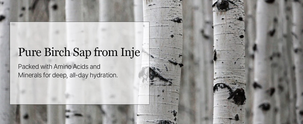 Round Lab Birch Juice Moisturizing Toner - 300ml Face Moisturiser - 3