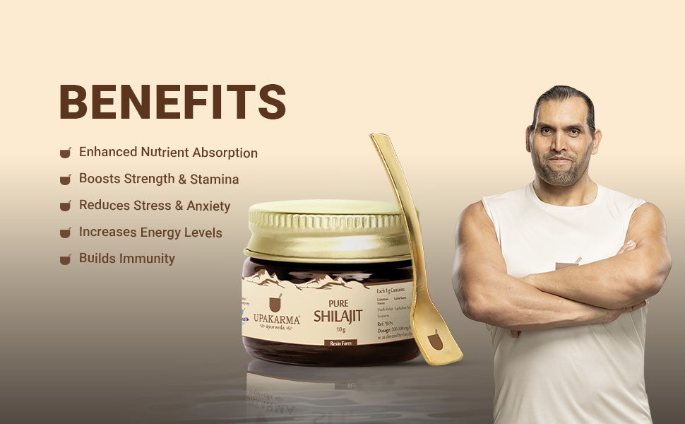 Upakarma Shilajit Resin - Original Ayurvedic Herbal, 10g - 2