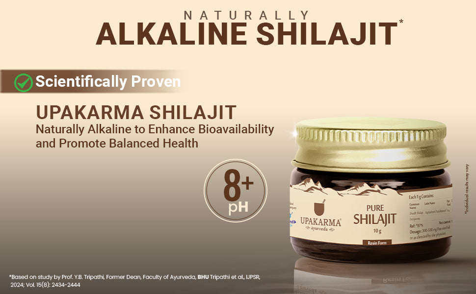 Upakarma Shilajit Resin - Original Ayurvedic Herbal, 10g - 3