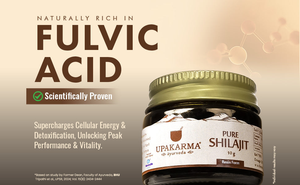 Upakarma Shilajit Resin - Original Ayurvedic Herbal, 10g - 4