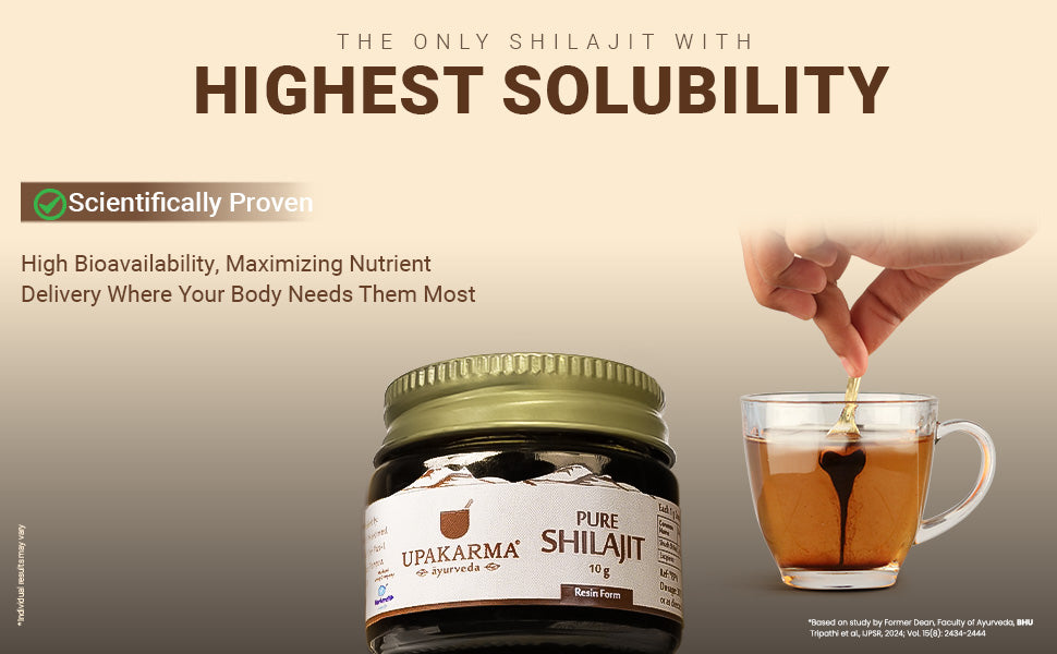 Upakarma Shilajit Resin - Original Ayurvedic Herbal, 10g - 5