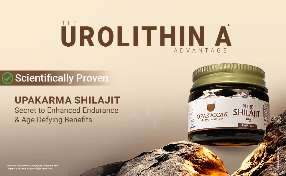Upakarma Shilajit Resin - Original Ayurvedic Herbal, 10g - 6