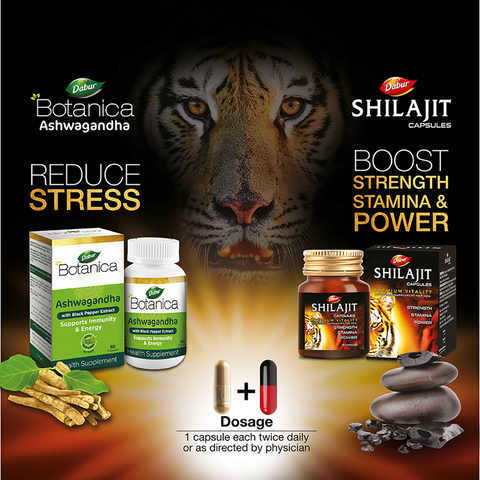 Dabur Energy & Stamina Booster Pack, One month supply