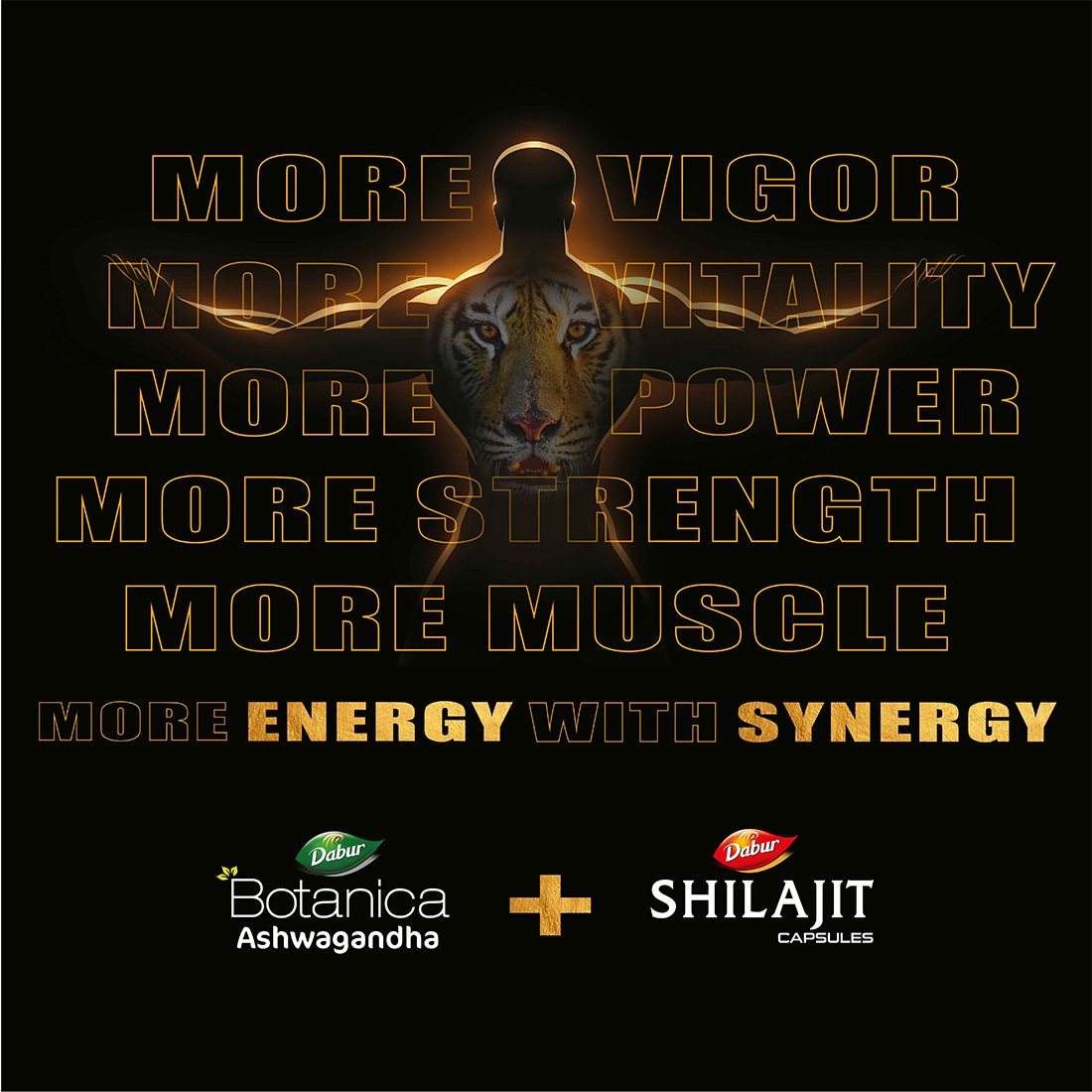 Dabur Energy & Stamina Booster Pack- Shilajit and Ashwagandha